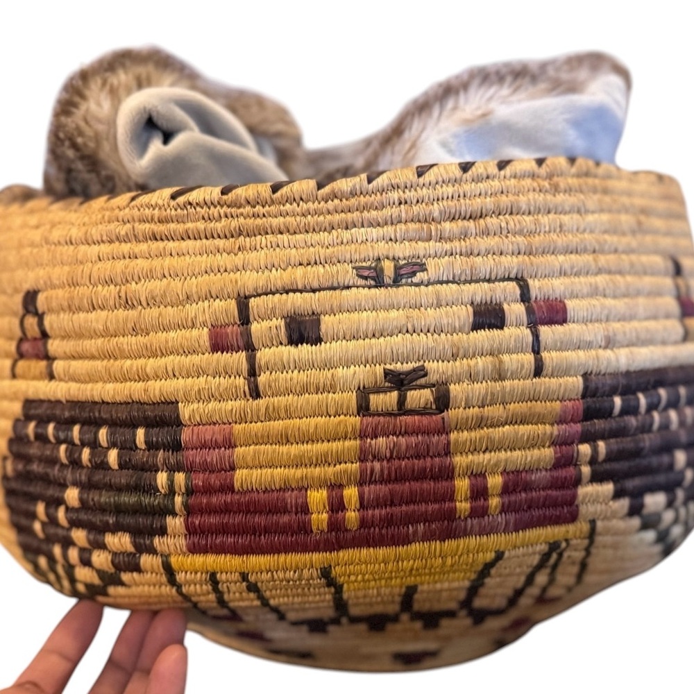 Hopi Pueblo Second Mesa Pictorial Deep Basket VTG Katsina face horses - Picture 3 of 15